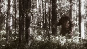 Bigfoot Sightings